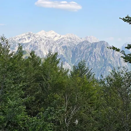 Nini Konukevi 3*